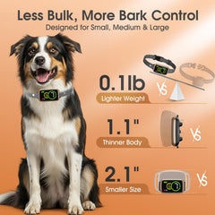 NQQHNN lightweight bark collar worn during long outdoor sessions.