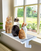 NRYDEPET heavy-duty window perch XL 26x13x7 with secure sunbathing setup