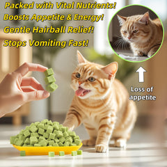 NSWXZDS Catnip Toy Fish Oil provides engaging enrichment and omega-rich flavor for cats.