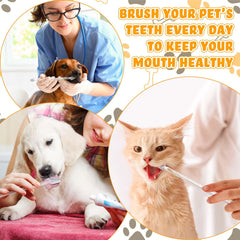 Nuenen long-handle brush 22 cm shown for pet-friendly reach.