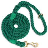 NUGUTIC dog leash 6ft braided cotton in use on a dog for smooth daily walks