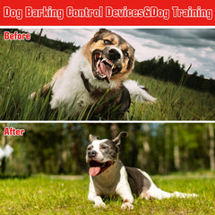 Nupec anti-barking device IP54 waterproof for all-weather outdoor use