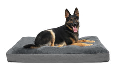 NUPIDA dog bed top view shows 35x23-inch crate-ready size in dark gray.