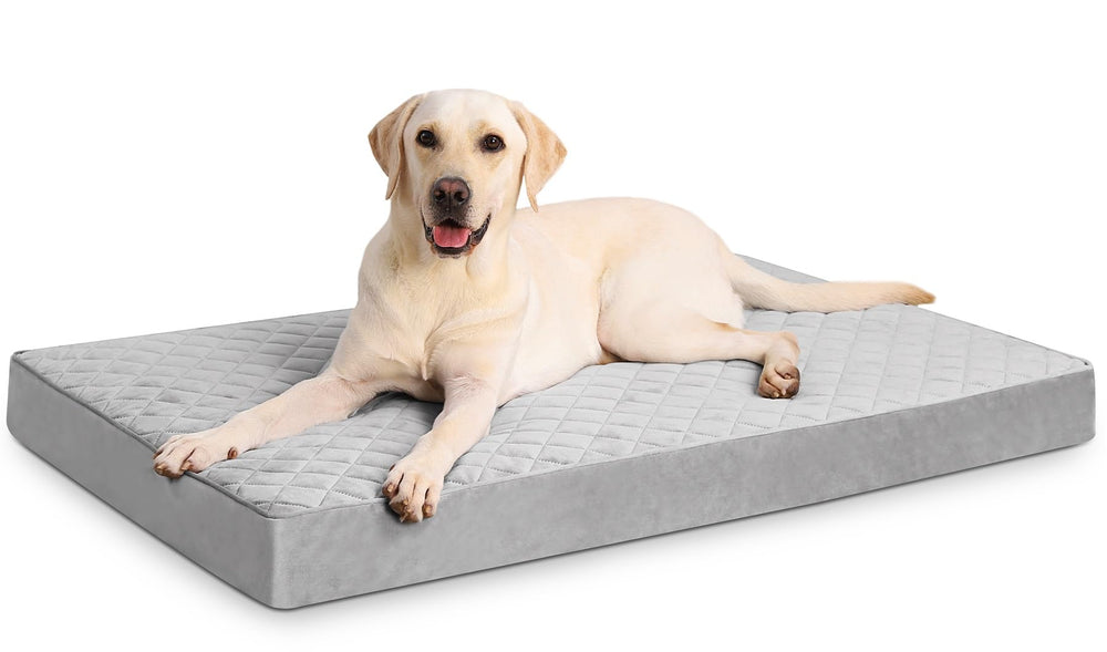 NUPIDA Orthopedic XL dog bed with diamond-quilt velvet for plush comfort.
