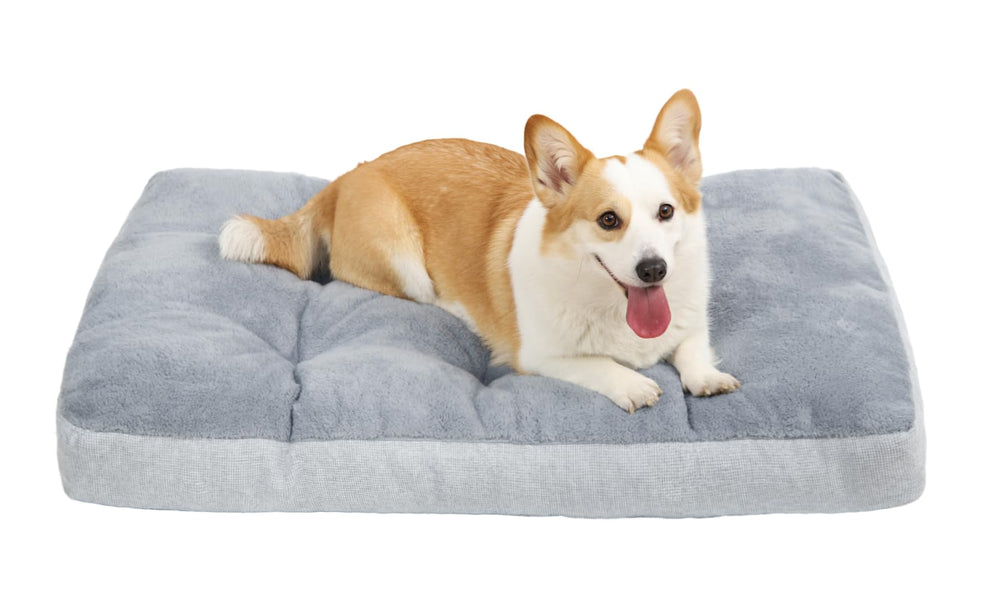 NUPIDA Washable Dog Bed plush surface closeup highlights buttery-soft comfort for lounging