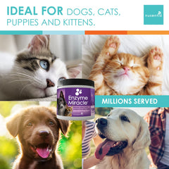 NUSENTIA Enzyme Miracle for dogs and cats eases digestive stress and comfort