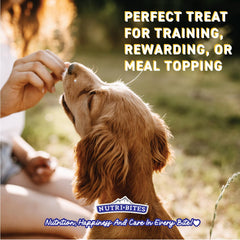 Nutri Bites Freeze-Dried Salmon Train Session Reward motivates training.