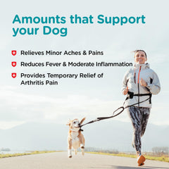 Nutri-Vet Aspirina para perros en acción al aire libre.