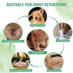 Nutridog allergy powder skin-healing highlights soothing hotspots and irritation reduction
