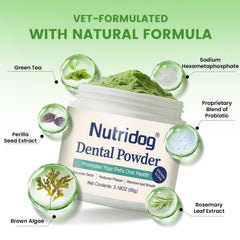 Nutridog dental powder measured scoop—easy dose for consistent daily oral care.