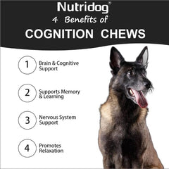 Nutridog organic Lions Mane ingredient close view for nerve health and resilience