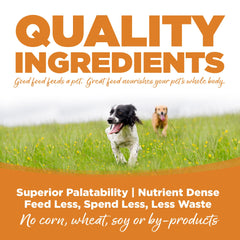 NutriSource Lamb Meal & Rice bowl ready to serve during mealtime