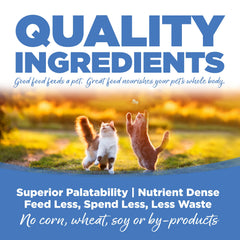 NutriSource cat and kitten mealtime with kittens enjoying tasty kibble aroma.