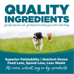 NutriSource chicken and rice dog food bowl served — appealing meal moment for pets.