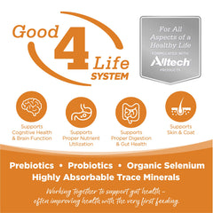 NutriSource Lamb Meal & Peas dog food bowl close-up—grain-free nourishment during feeding time.