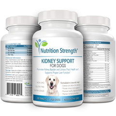Nutrition Strength Kidney Support for Dogs featuring astragalus and nettle leaf blend for holistic support.