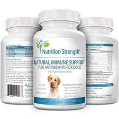 Nutrition Strength CoQ10 Vitamin A closeup highlights antioxidant protection for dogs.