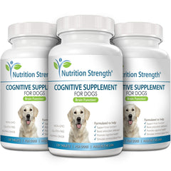 Nutrition Strength dog aging illustration shows cognitive support benefits