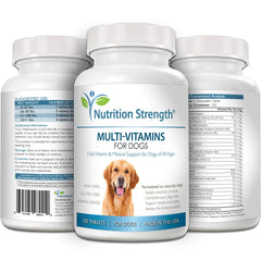 Nutrition Strength dog chewing a vitamin, convenient daily health support.
