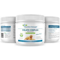 Nutrition Strength Folate for Dogs used daily as a wellness routine to support DNA synthesis