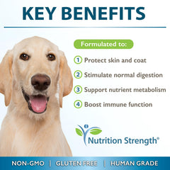 Nutrition Strength MCT soft gels close-up—tasty capsules supporting digestion.