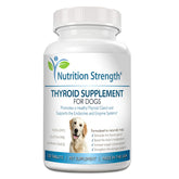 Nutrition Strength thyroid dog chew tablets — easy metabolism support for dogs