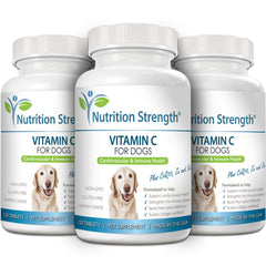 Nutrition Strength Vitamin C for Dogs immune-support graphic shows potential immune benefits