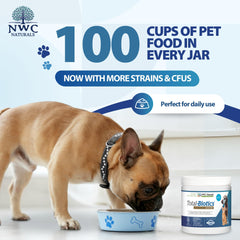 Indoor cat-friendly Total-Biotics digestive supplement for feline gut balance