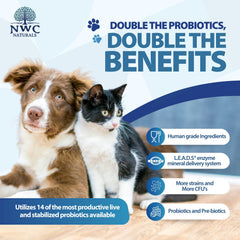 NWC Naturals Total-Biotics label close-up shows 14 strains for gut balance.