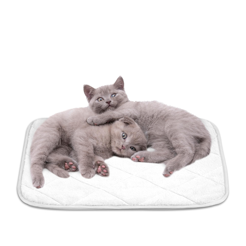 NWK Fluffy self-warming cat mat shows soft surface for cozy naps