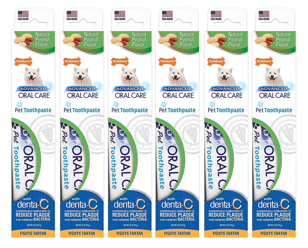 Nylabone Advanced Oral Care Natural Toothpaste tube highlights peanut-flavored brushing for pets