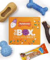 Nylabone dog gift box packaging shows four toys and a treat, ideal gift for small dogs