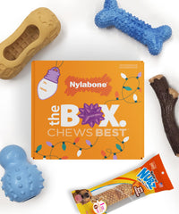 Nylabone dog gift box packaging shows four toys and a treat, ideal gift for small dogs