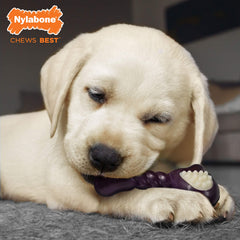 Nylabone Double Action Bone textured edges provide varied chewing sensation