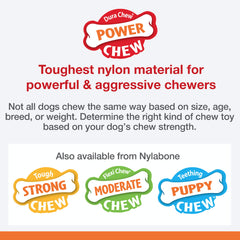 Nylabone Flavor Frenzy XL closeup of Philly Cheesesteak flavor for engaged chewers.