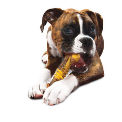 Nylabone Flavor Frenzy bone closeup-nubs showing textured grooves for longer chews.