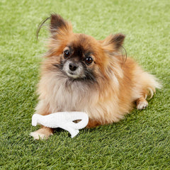Nylabone Power Chew Dental Dino in a home play setting