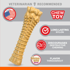 Nylabone Power Chew durable nylon surface for aggressive chewers.