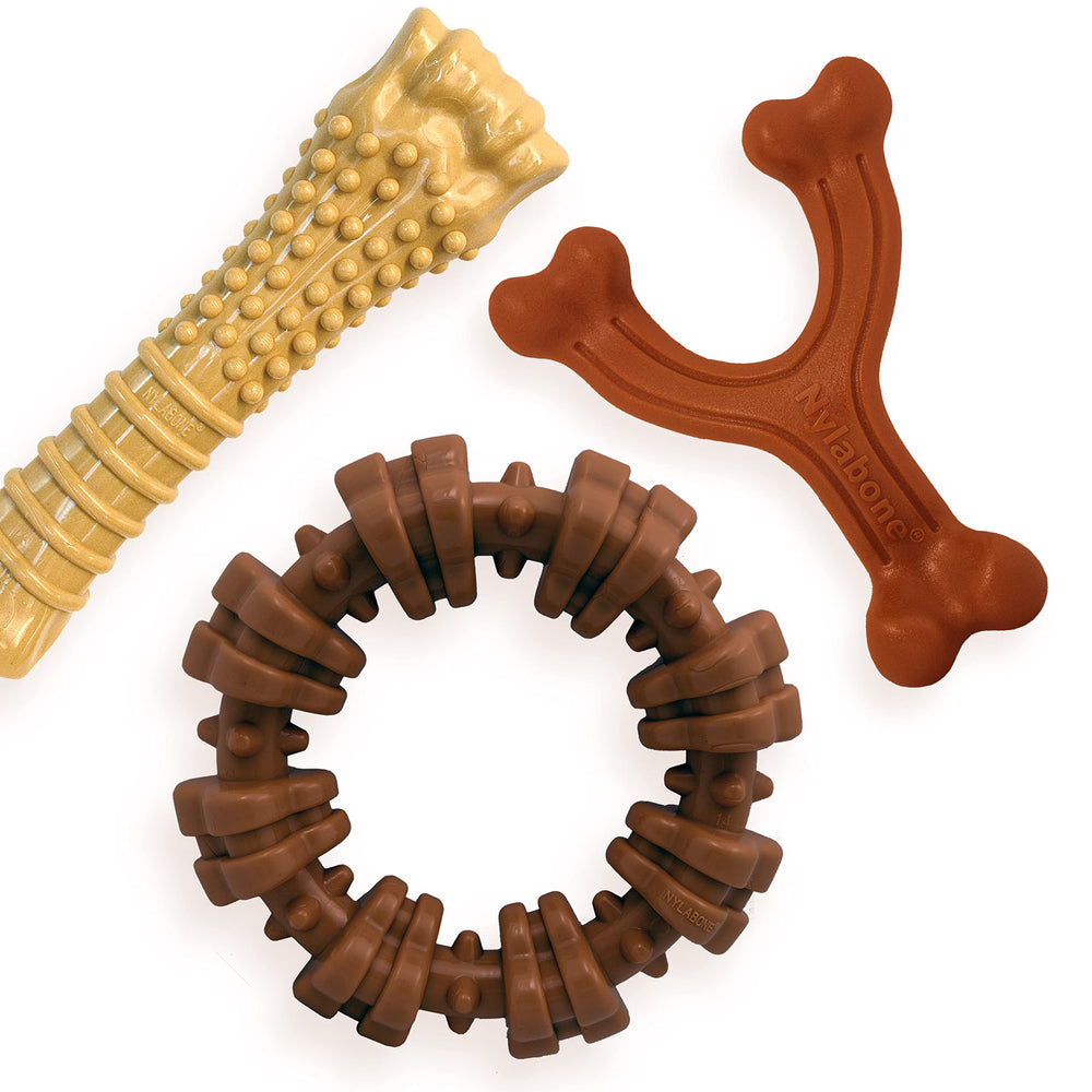 Nylabone Power Chew textured ring closeup showing multi-surface chew engagement