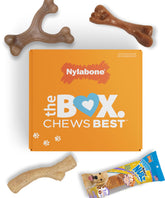 Nylabone Puppy Gift Box unboxed with three chews and a natural treat bone for puppies' teething