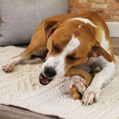 Nylabone Wishbone ergonomic design supports comfortable chewing from any angle.