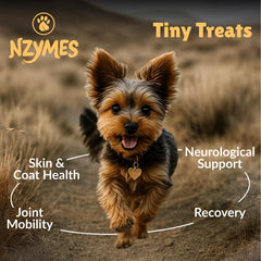 Nzymes Antioxidant Tiny Treats label closeup shows clean ingredients for small-dog wellness.