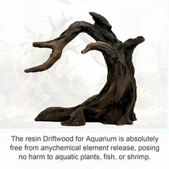 Obantrsz natural driftwood 2-4 inch piece highlights texture and organic tone.