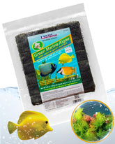Ocean Nutrition Seaweed Select Green Marine Algae sheets closeup showing firm texture ideal for grazing herbivores.
