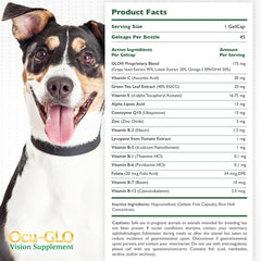 Ocu-GLO gelcaps ready to mix with wet food for dosing