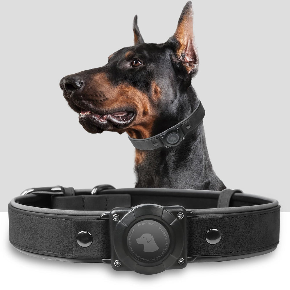 Odokele AirTag collar closeup showing durable leather and secure AirTag holder for tracking