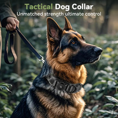 Odokele AirTag holder tactical dog collar enabling easy tracking during hikes