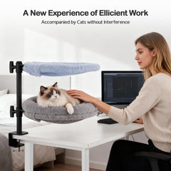 Odoland 360° rotation cat perch enables flexible cuddles and optimal viewing angles