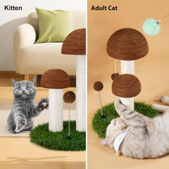 Odoland kitten-friendly sisal keeps nails healthy and furniture safe