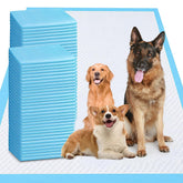 Odorless XXXXL Puppy Pee Pad 31x47 pack ready to protect floors during training.